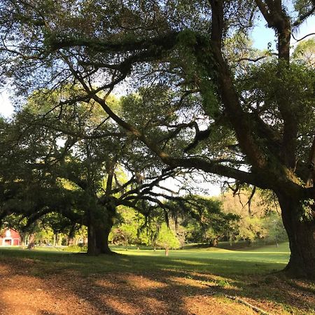 Canemount Plantation Inn Westside Dış mekan fotoğraf