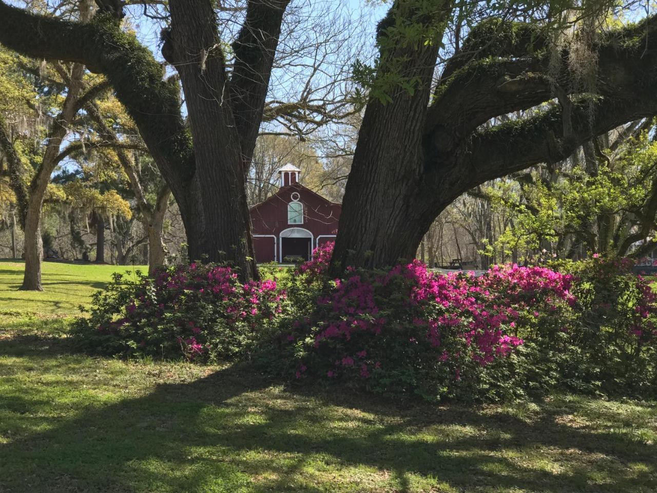 Canemount Plantation Inn Westside Dış mekan fotoğraf