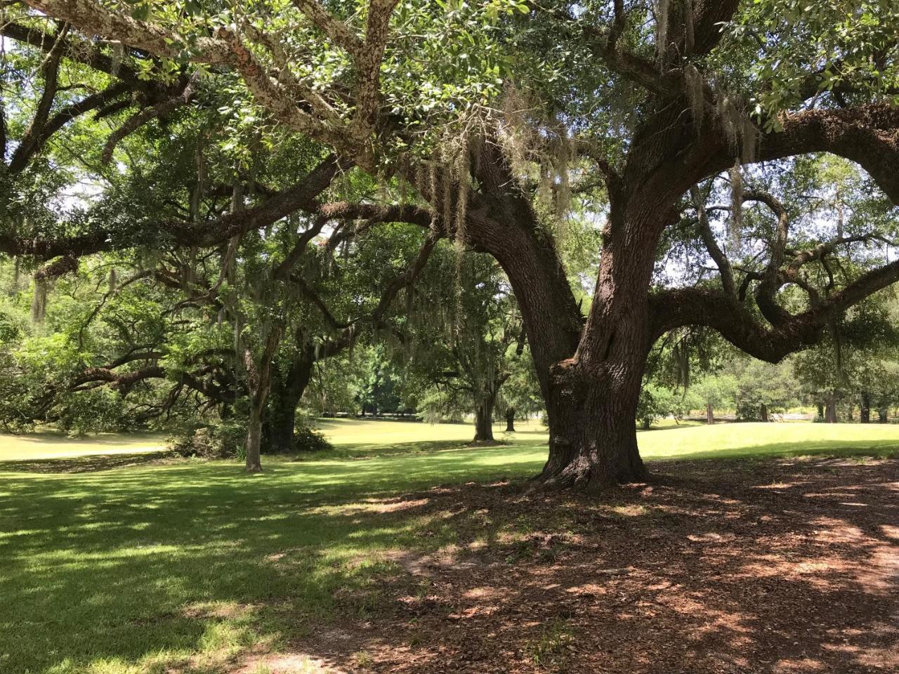 Canemount Plantation Inn Westside Dış mekan fotoğraf